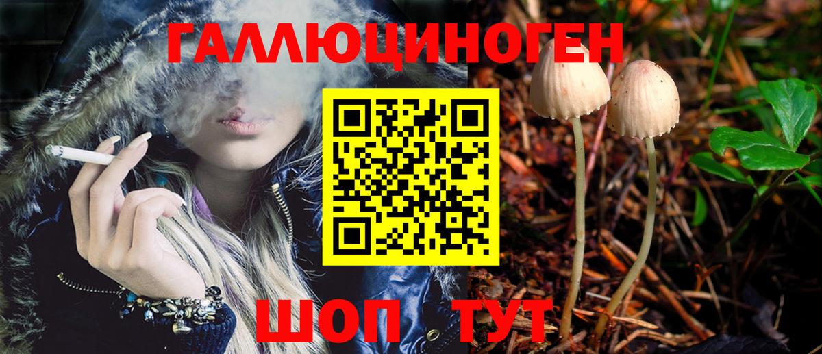 купить наркотик  Вход с VPN  Красный Сулин  Псилоцибиновые грибы Psilocybe 